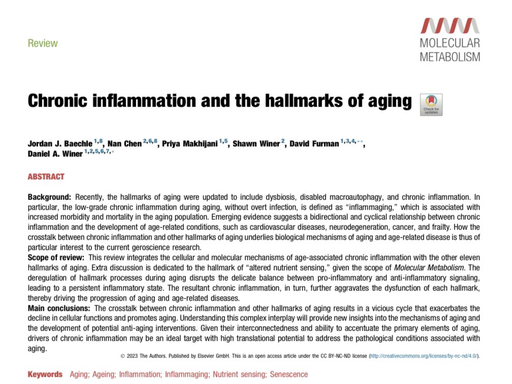 Jordan Baechle tweet media