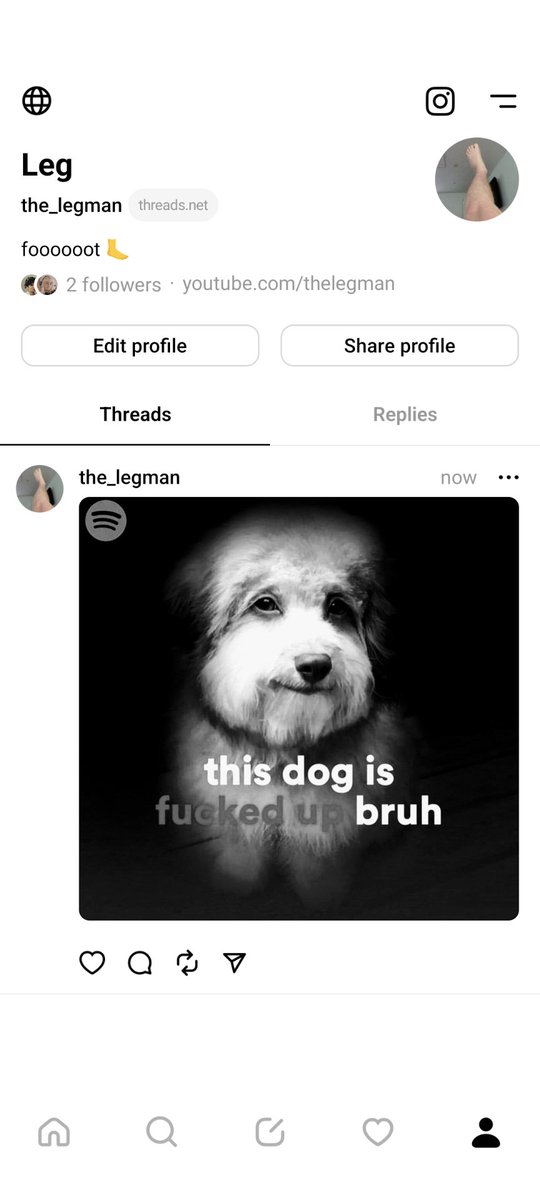 I'm not confident threads will take off but if it does, please follow me x