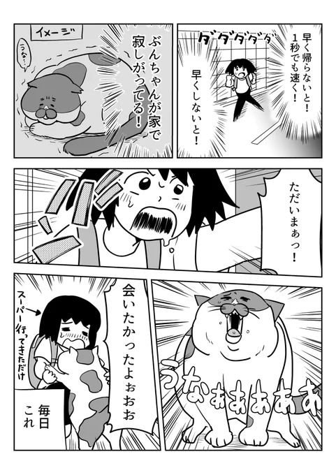 【オモコロブロス】
ペットカメラを買って外出中の愛猫を見守りました。
それが可愛いこと可愛いこと……

留守番中の愛猫が心配!ペットカメラで観察してみた
https://t.co/oVuDETfH2d 