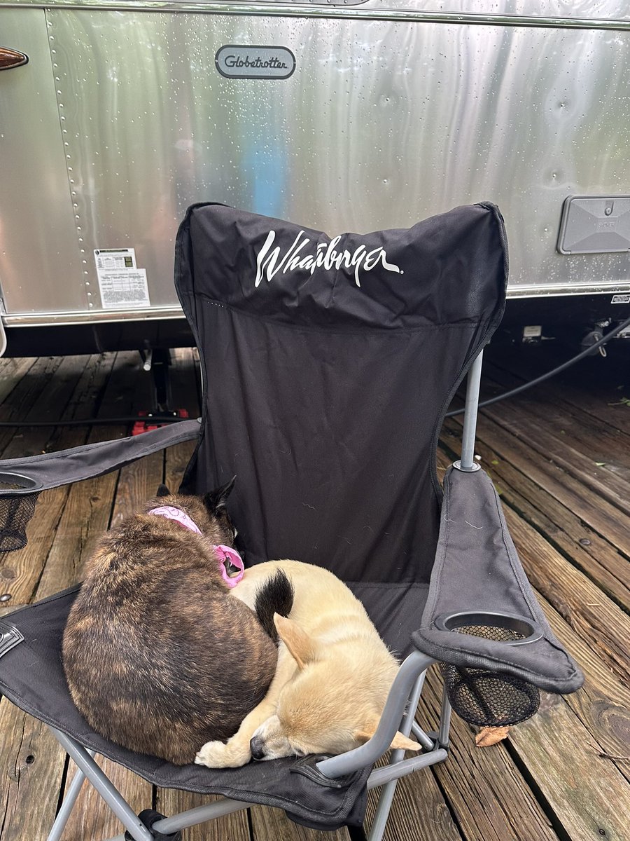 mirandalambert's tweet photo. 💕🥹 @MuttNation #loveharder https://t.co/cRyJowHUV9
