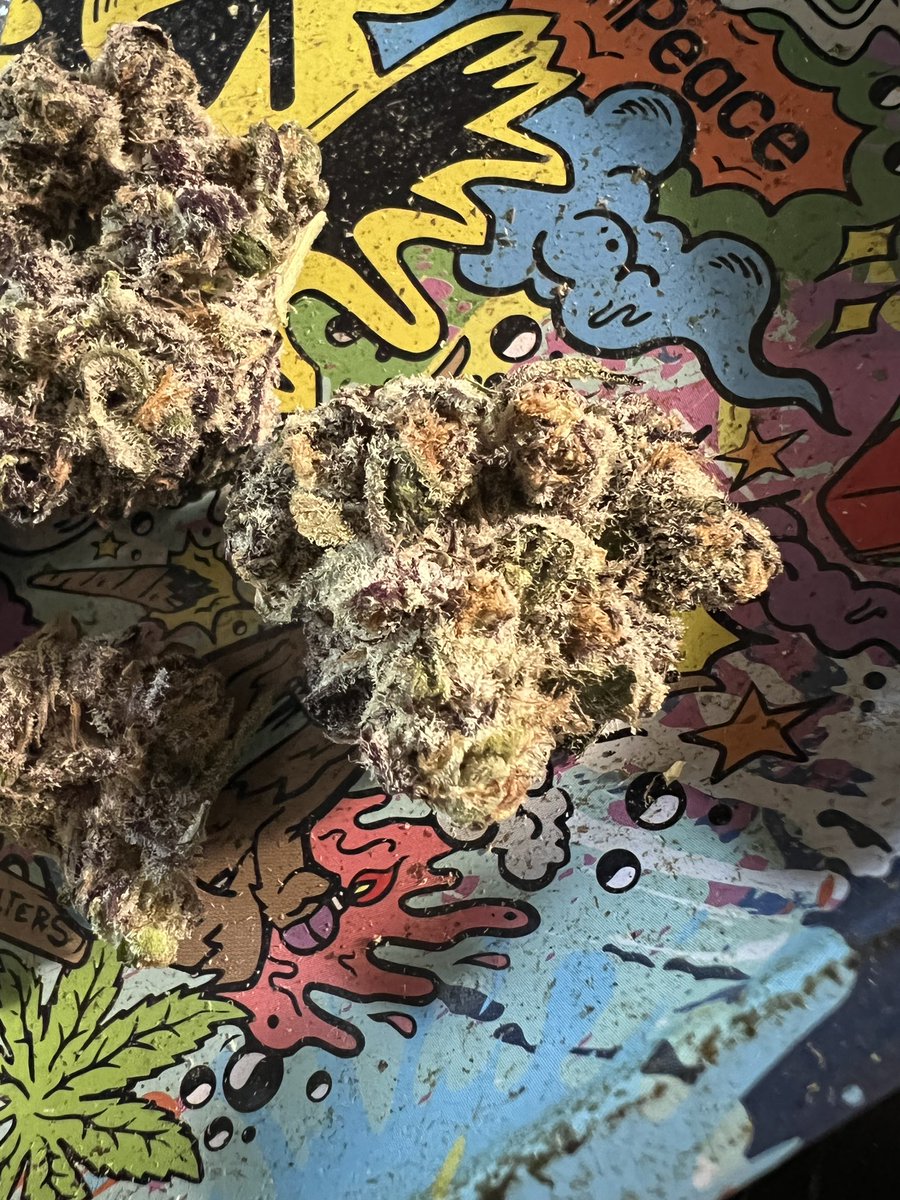 bymjmazzei's tweet photo. Itโs @MavenGenetics time ๐ฎโ๐จ๐ฅ๐ถโ๐ซ๏ธ @NugLifeClub #nuglifeclub https://t.co/UCXQFqR13J
