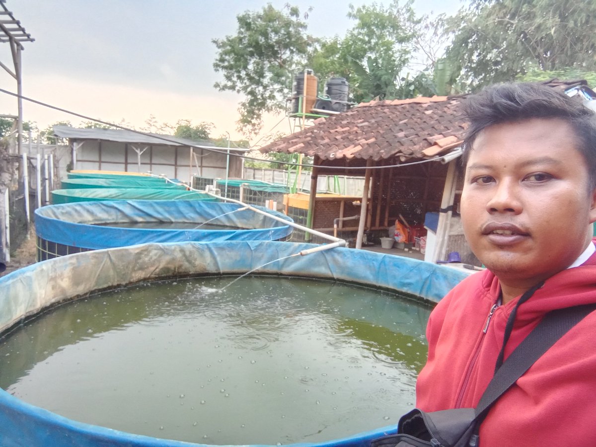 dediichtiarso's tweet photo. Kamis, 6/7/2023 Anjangsana Pokdakan BAKHTI JAYA Desa Kebonagung Kecamatan Jatibarang Kabupaten Brebes monev bantuan 2021 bantuan kolam bundar dan sarpras budidaya
#Luhlapor
#GiatLuhkanSatminkalTegal https://t.co/GnHITKxsBF