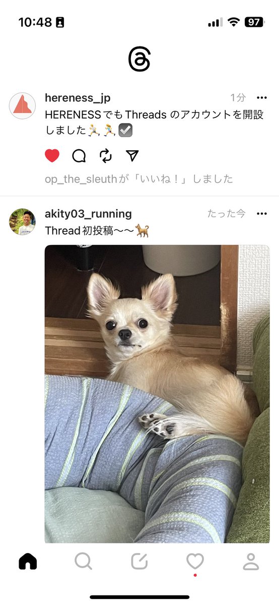 akity03's tweet image. #Threadsはじめました