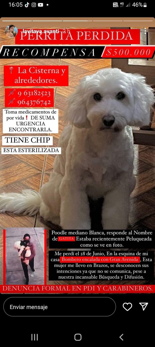 Difundo: pérdida , su familia la busca , tiene chip y está esterilizada rt