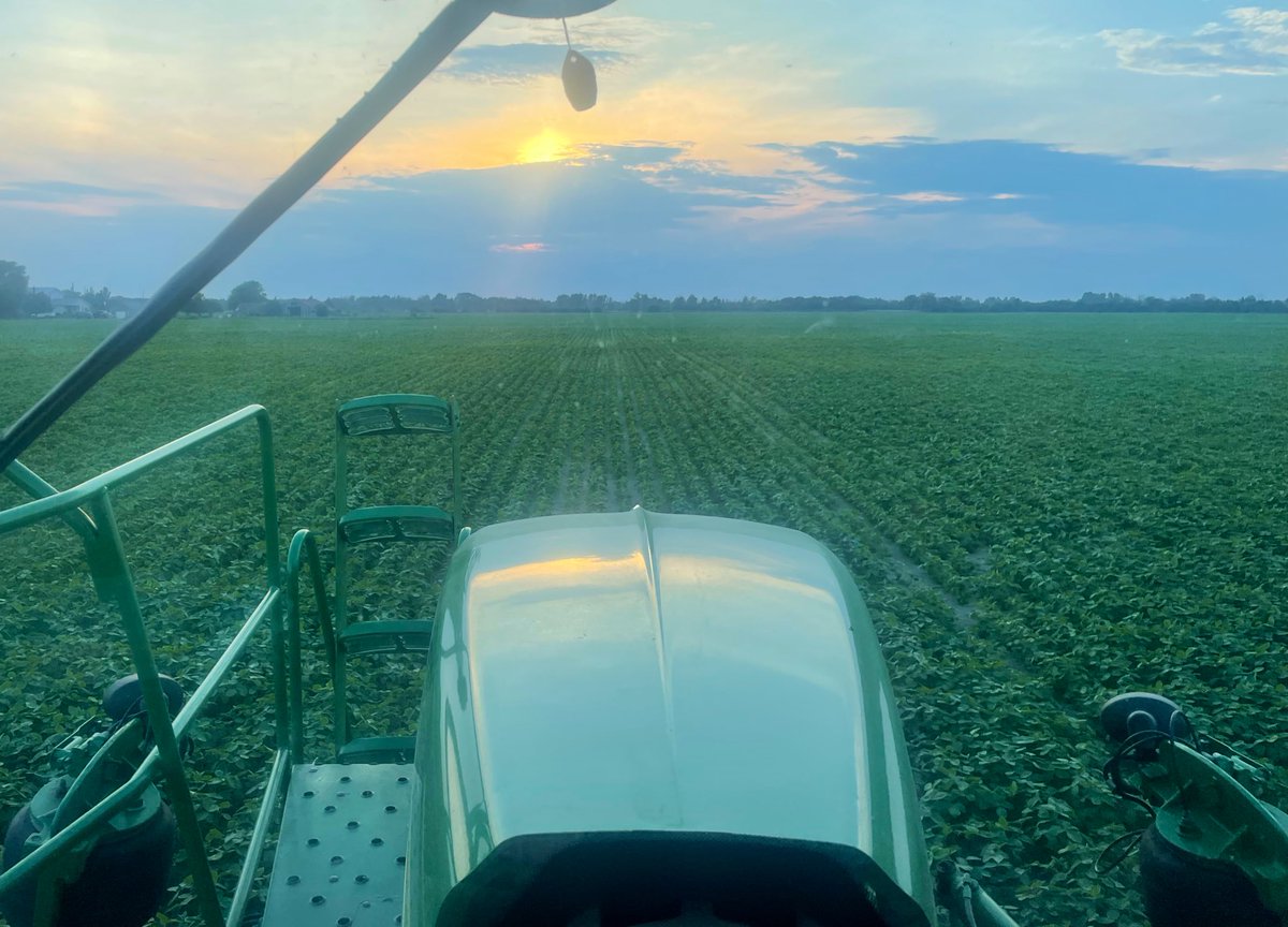 Dan Hayden tweet media