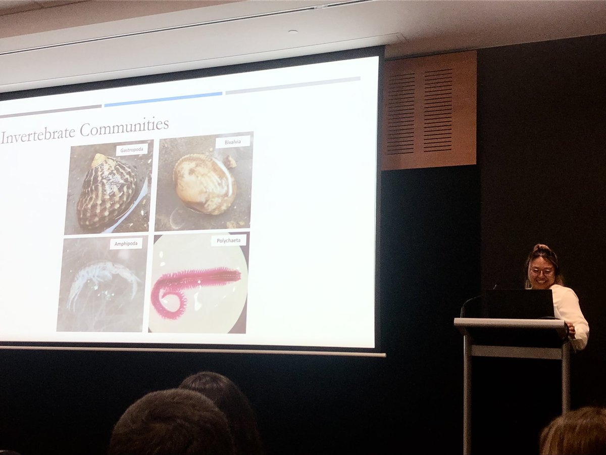 Natasha Garner (@_natashagarner) on Twitter photo Great talk today <a href="/kristine_marine/">Kristine Faelnar</a> “Gastropods everywhere!” 😂 <a href="/mqnatsci/">Macquarie University School of Natural Sciences</a> #amsa2023 Great talk today <a href="/kristine_marine/">Kristine Faelnar</a> “Gastropods everywhere!” 😂 <a href="/mqnatsci/">Macquarie University School of Natural Sciences</a> #amsa2023