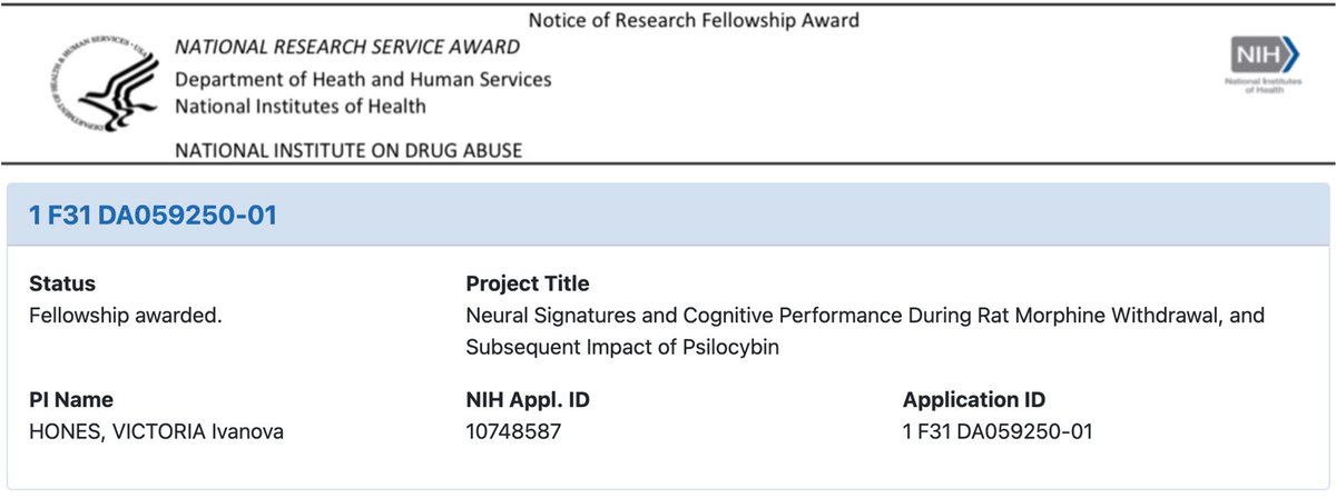 Victoria Hones 🐀 tweet media