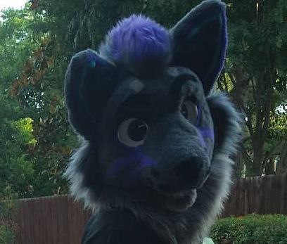 Sunnydawgstudio's tweet photo. Taking fursuit head commissions starting at $1000! 

-6-8 month completion time! 

-payment plans accepted! 

-can be upgraded all the way up to a fullsuit! 

Email us at sunnydawgstudio@gmail.com for inquiries!! 

#furry #furries https://t.co/ssoVzZCNTE