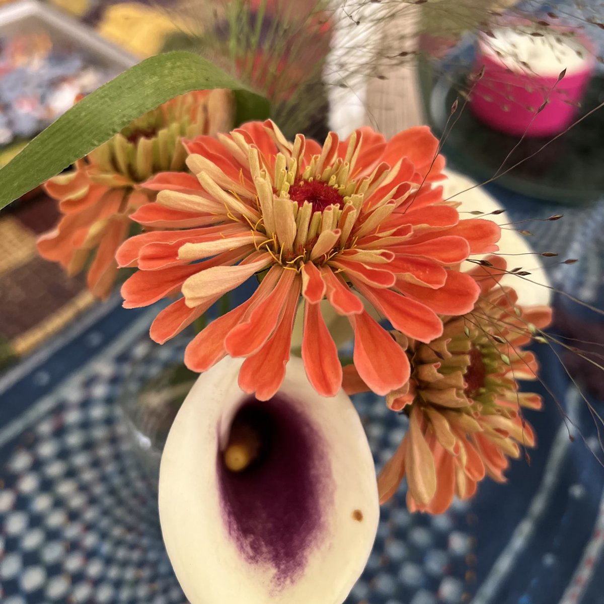 Thank you ⁦<a href="/uw_farm/">UW Farm</a>⁩ for a bit of brightness in my life today!