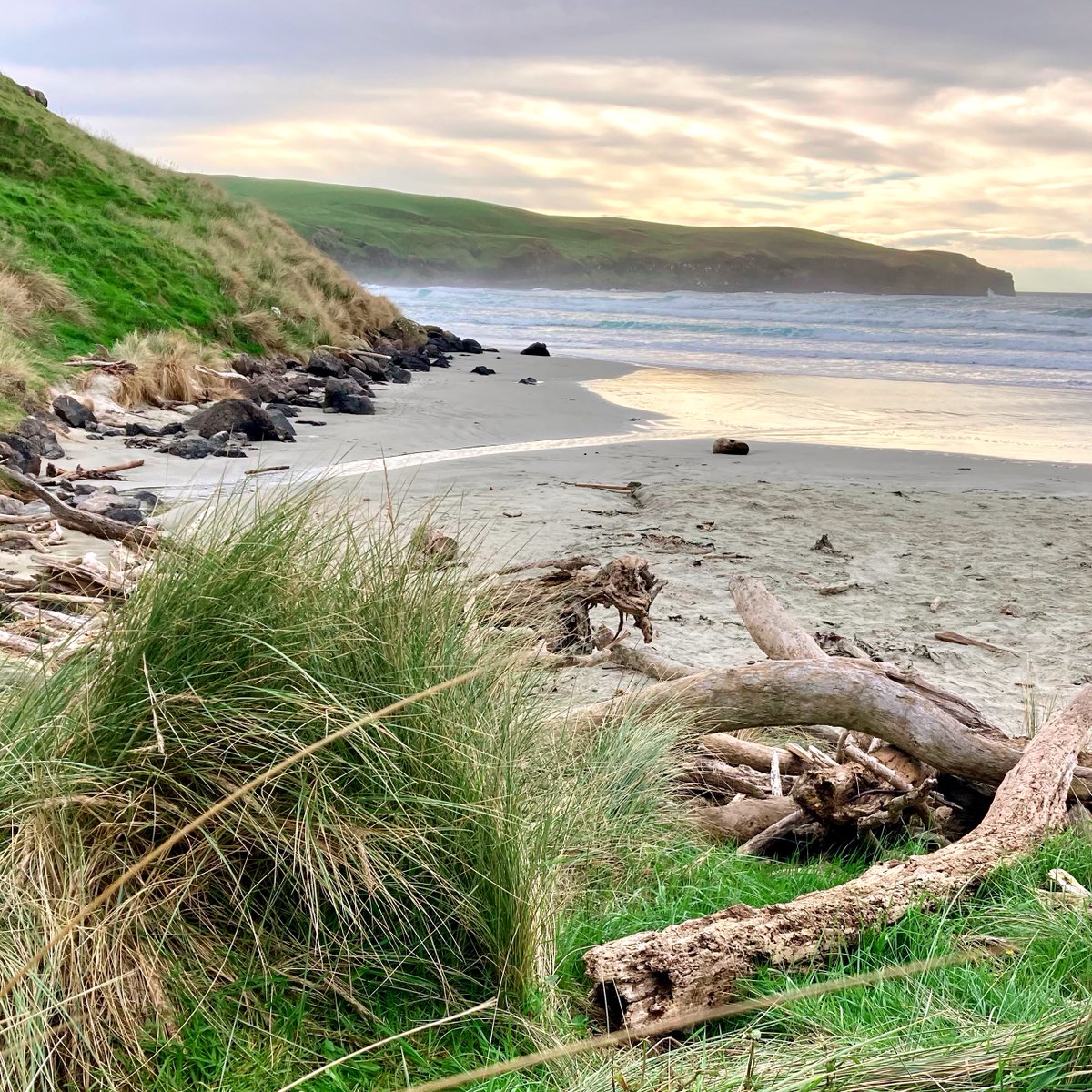 rompsk's tweet image. Excited to be working on branding for a new tourism venture out on the Otago Peninsula 🐧. (Yes, this is clearly for testing purposes 😊). #testing