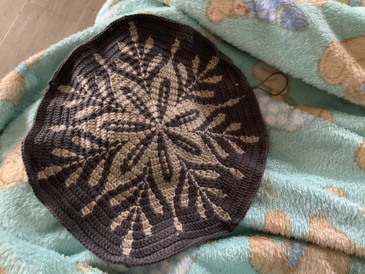 Tanya Riach tweet media