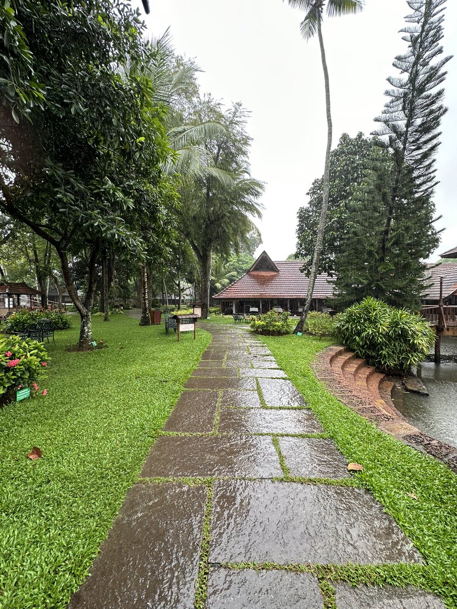 FatemaNagri's tweet photo. This state is unbelievably green. Stayed at the lovely @klresort. From the incredible villas to the insane food. Not to forget the incredible view and weather. They perfected the mix of luxury and nature. What a week! #kumarakomlakeresort #Kerala #wanttogoback https://t.co/HoyESPLGqP