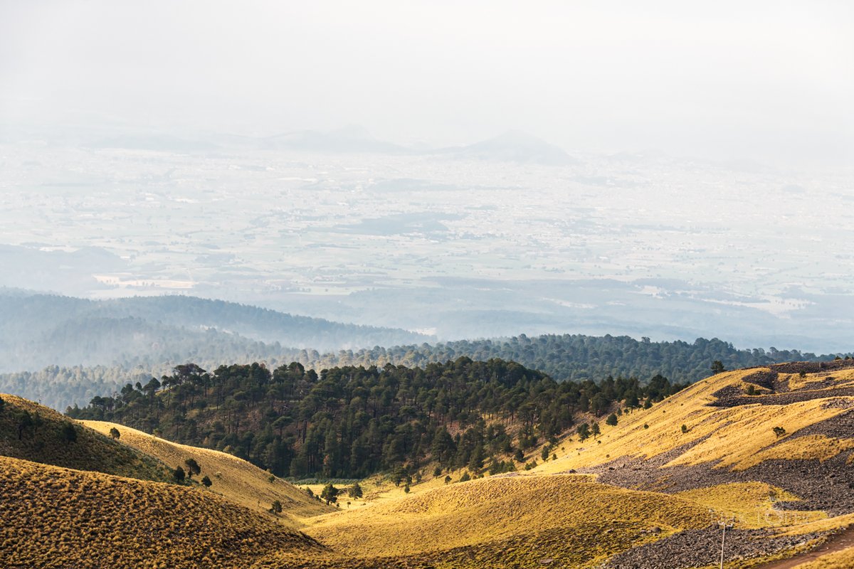 ErikLopezPhoto's tweet photo. Xinantécatl Volcano (a.k.a. Nevado de Toluca), Texcaltitlán, Estado de México, México. July 1st, 2023.

#ErikLopezPhotography #Photography #Landscape #LandscapePhotography #Hike #HikePhotography #Nikon #NikonPhotography #Outdoors #OutdoorsPhotography #Camping #Mountain #Volcano https://t.co/FhLmASB5DV
