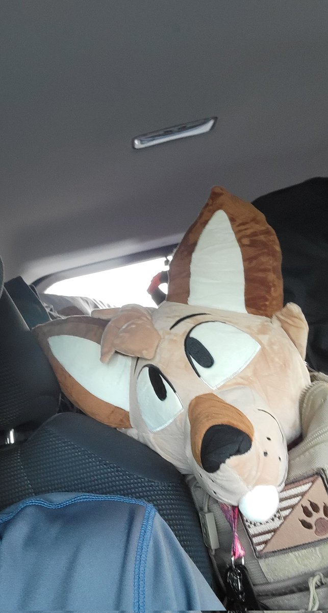 Wolf_of_Ash95's tweet photo. @TheRoguez This guy been my riding buddy all the way home to Colorado! https://t.co/G4FZwTiEql