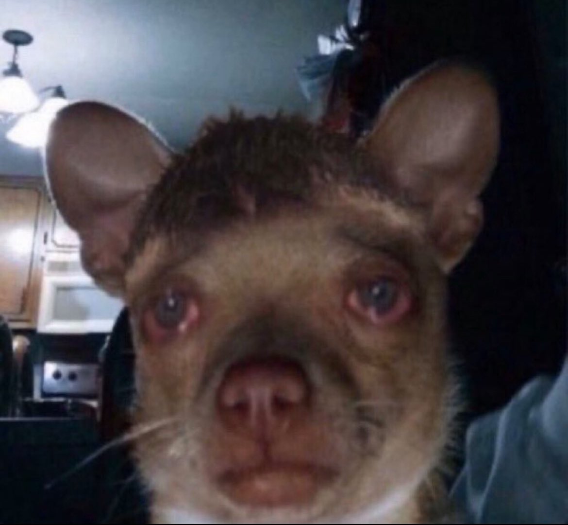 TrooperBenKHP's tweet image. When you feel different, you drive different… 

#DriveHighGetADUI 
@NHTSAgov @GHSAHQ