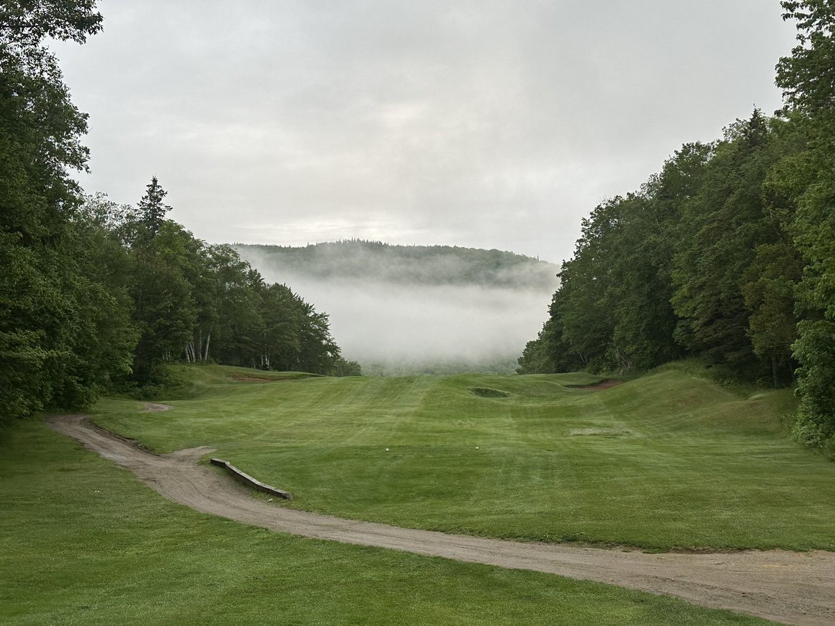 James Bryce tweet media