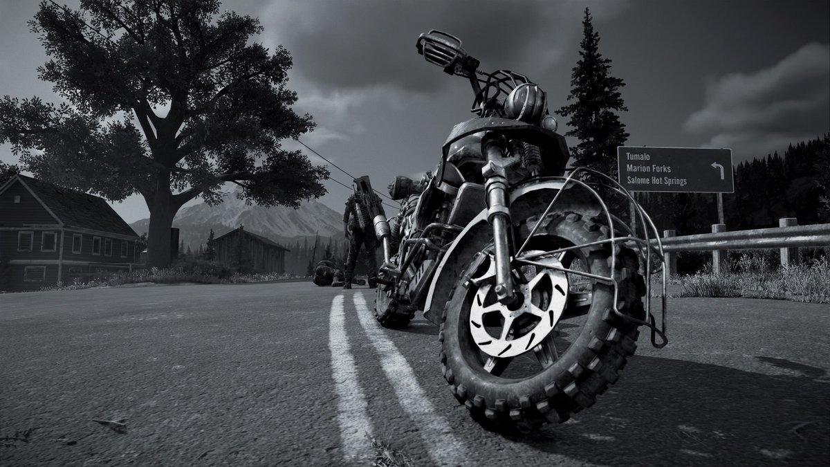 SebDonGom's tweet photo. #DaysGone #PhotoMode #PS4share @BendStudio https://t.co/J3peO0FOGo