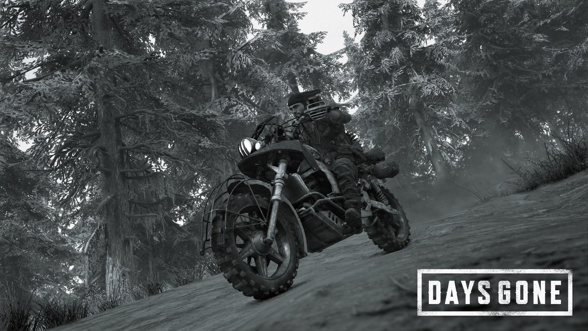 SebDonGom's tweet photo. #DaysGone #PhotoMode #PS4share @BendStudio https://t.co/J3peO0FOGo