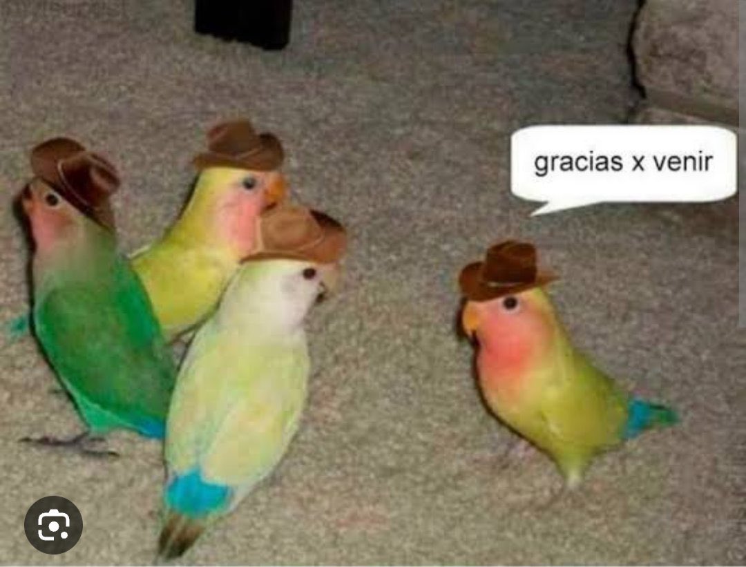 Mis 3 seguidores de Instagram y Twitter  yendo a seguirme en Threads