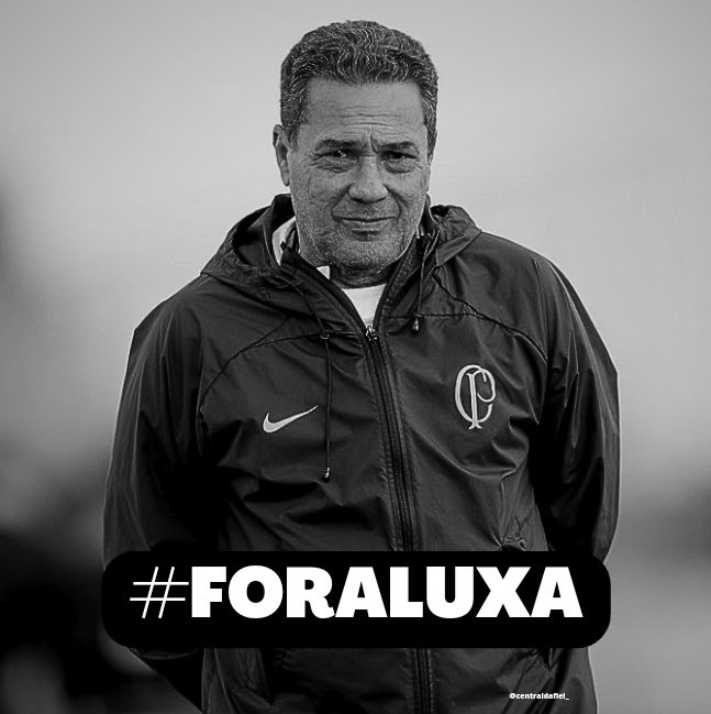 centraldafiell's tweet image. #FORALUXA