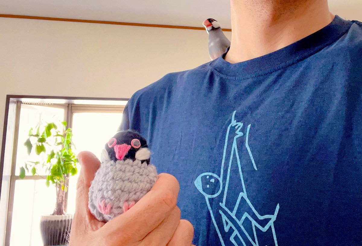 僕を担当してくださってるマネージャーさんが、
編み物でポポを作ってプレゼントしてくれました！

大切な存在を、
大切に思って作ってくれた贈り物って、

こんなにも嬉しいものなんですね。。

当のポポは、警戒してこの距離感…。

ゆっくりとでも仲良くなってほしいなぁ。

#文鳥