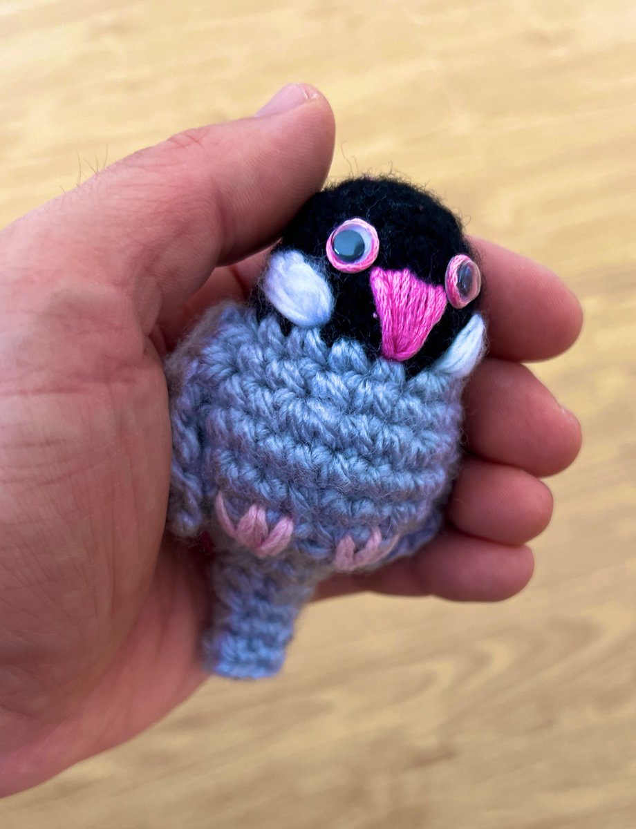 yi0124's tweet photo. 僕を担当してくださってるマネージャーさんが、
編み物でポポを作ってプレゼントしてくれました！

大切な存在を、
大切に思って作ってくれた贈り物って、

こんなにも嬉しいものなんですね。。

当のポポは、警戒してこの距離感…。

ゆっくりとでも仲良くなってほしいなぁ。

#文鳥 https://t.co/kBcXbhMDsJ