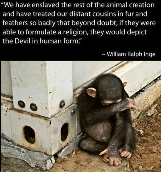 Axe_Grrl's tweet image. 