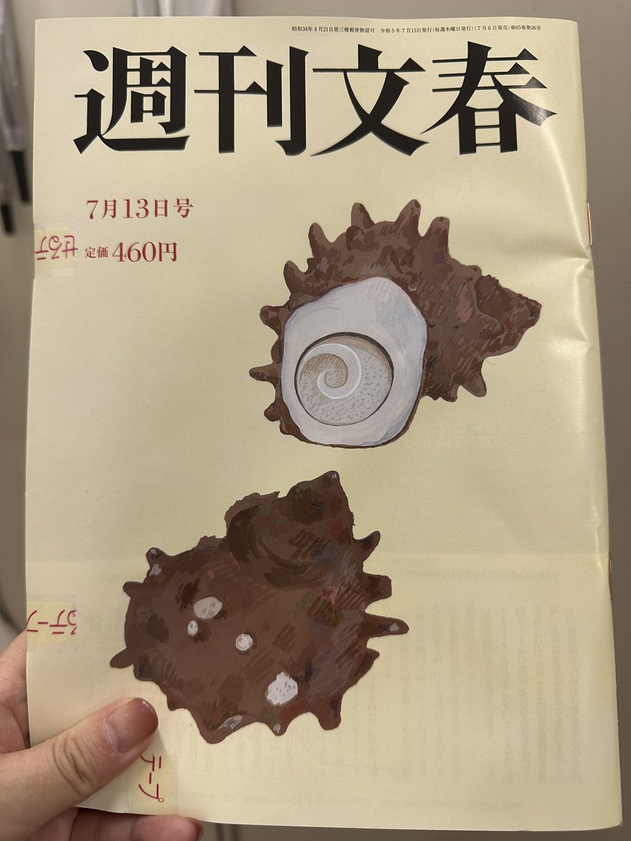 #週刊文春
10年ぶりくらいに買った
頑張って欲しい