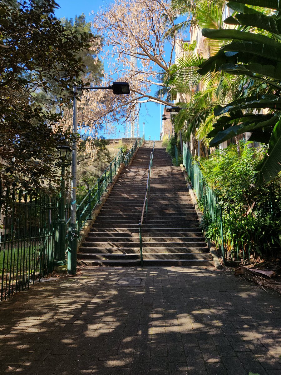 newsiegal's tweet photo. Hello, old friends. I'm back. 😁 @woolloomoolo0 #mcelhonestairs #stairsofdeath https://t.co/tFN9uyTSQF
