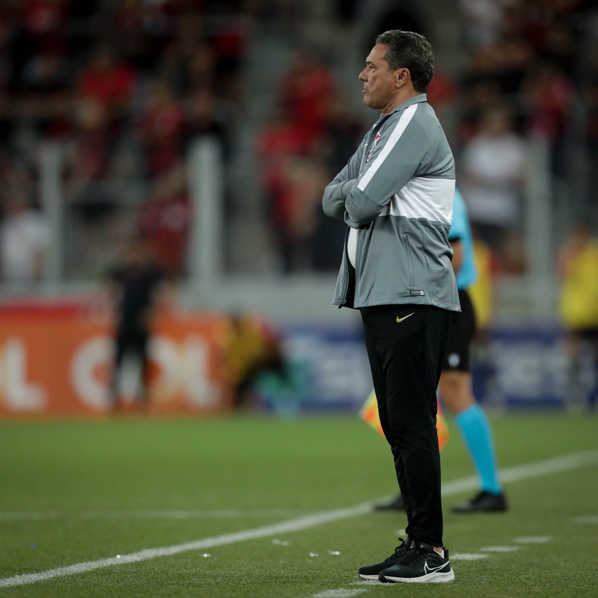 SCCP News tweet media