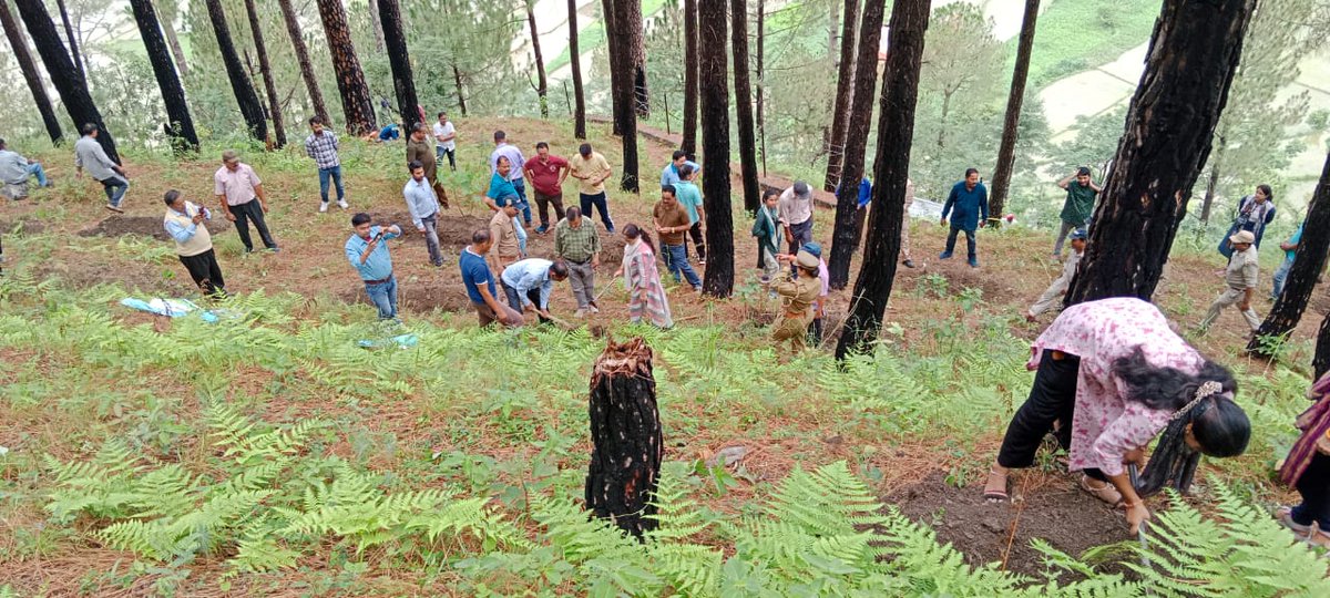 NrlmDunda's tweet photo. Water conservation campaign &amp; Plantation  in #dunda #block #Uttarkashi During campaign Respected #Judge mam participated along with district Officials and block official
@MoRD_GoI 
@UsrlmOfficial 
@CdoUttarkashi 
@REAPUttarkashi 
@USRLMUTTARKASHI https://t.co/GZQYEzUY9A