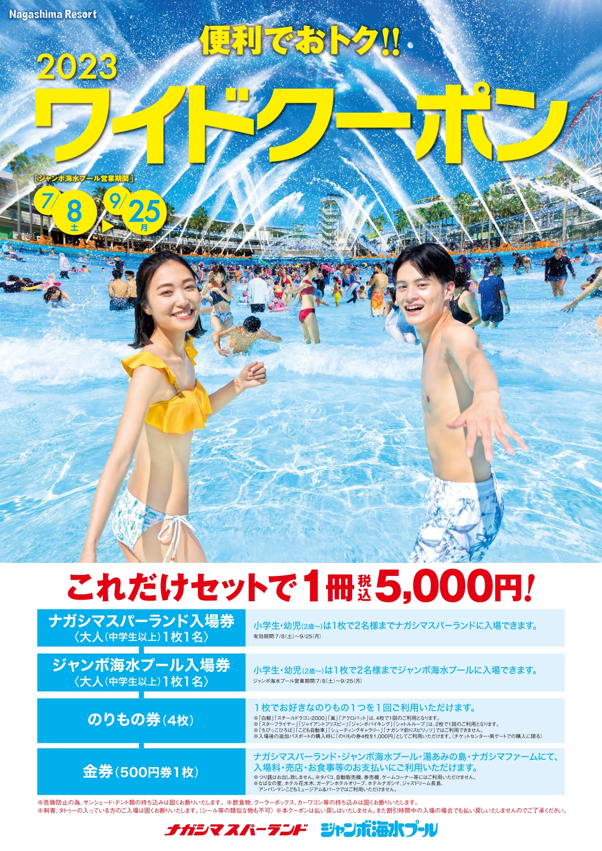 ナガシマジャンボ海水プール（遊園地＋プール） 入場券    大人2枚