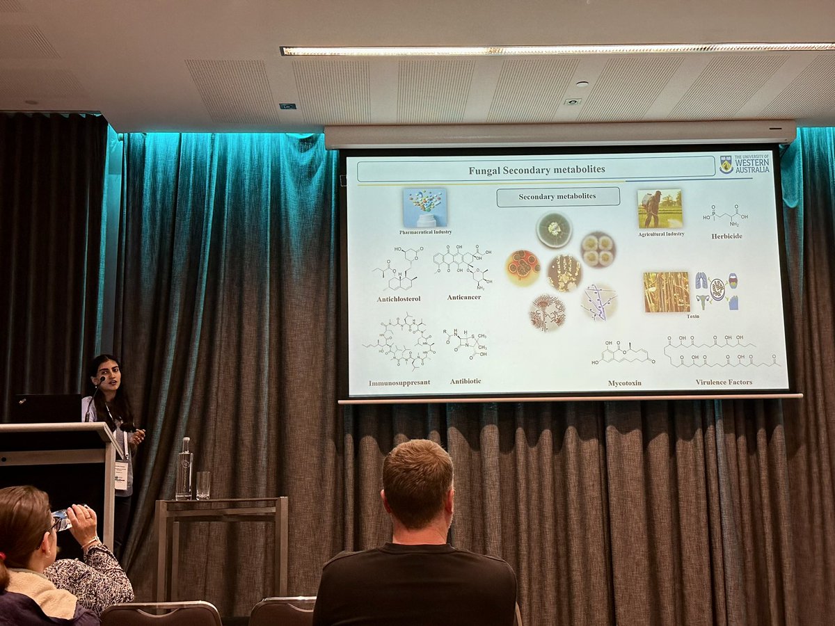 neil_gow's tweet image. Very nice work by Hamideh Rezaee exploring the secondary metabolites of Sedosporium  with cytotoxic properties that may affect host interactions. @AUSSOCMIC #2023asm