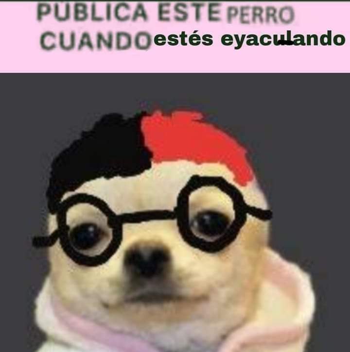 SanX tweet media