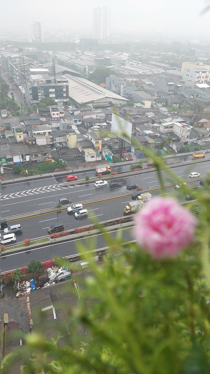 dearestbangchan's tweet image. &quot;𝒉𝒖𝒋𝒂𝒏 𝒅𝒊 𝒃𝒖𝒍𝒂𝒏 𝒋𝒖𝒍𝒊&quot;
ㅡshots with #GalaxyA52s
    jakarta, 10.42 am.