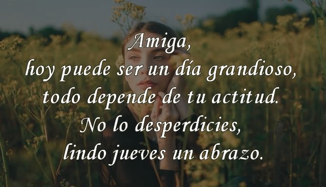 gha_bi_el's tweet image. Jueves
#Parati 
Vamos al lio y siempre #Palante sin detenerse
#Bondia
#BuenosDias
#BuenosDiasATodos 
#BuenosdiasEspaña