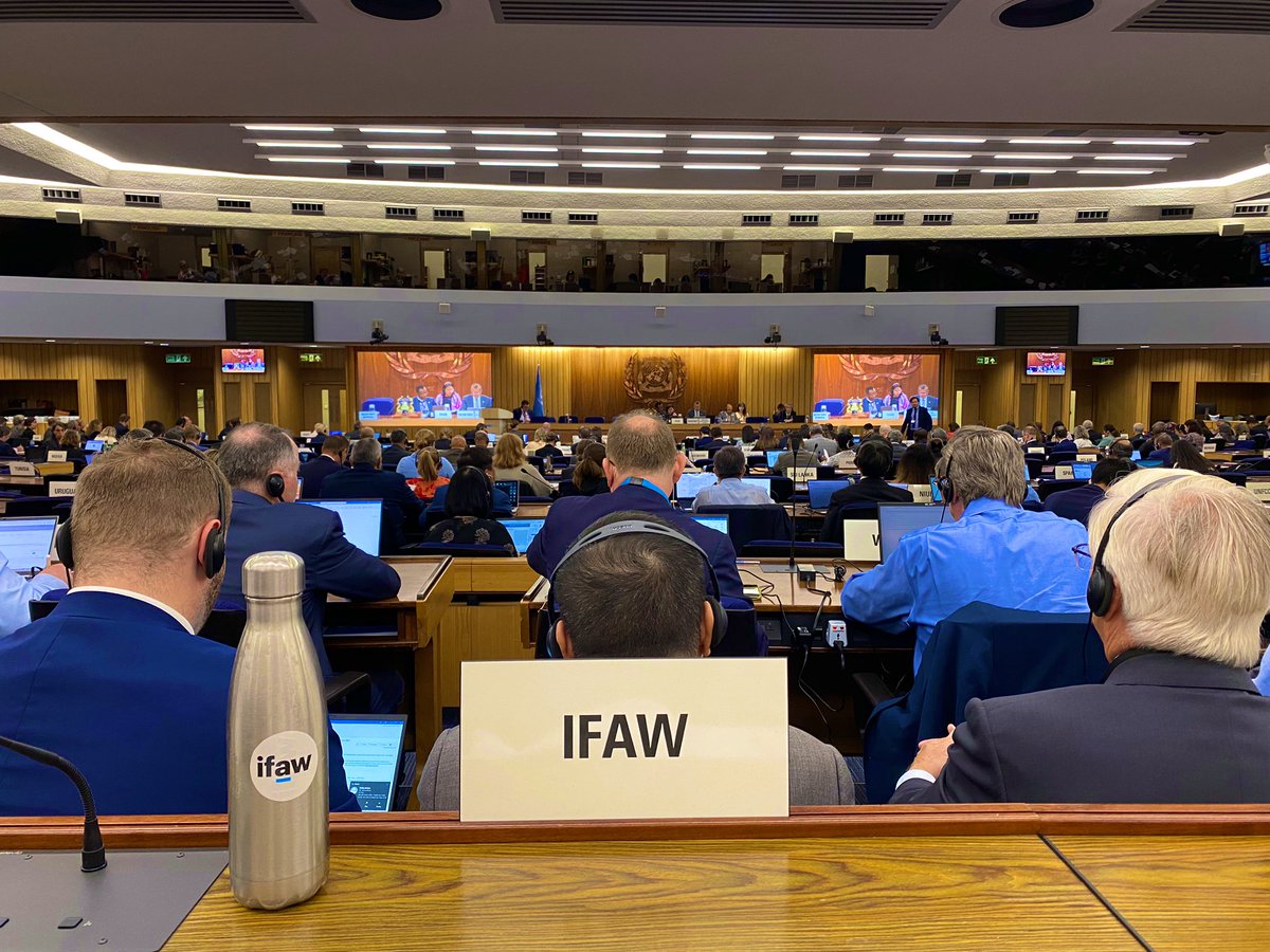 📍À Londres pour la réunion du Comité de la protection du milieu marin (MEPC) de l’Organisation Maritime Internationale : <a href="/ifawEU/">ifaw European Union</a> présentera aujourd’hui les importants bénéfices économiques et environnementaux de la réduction de vitesse des navires 🚢 
#BlueSpeeds