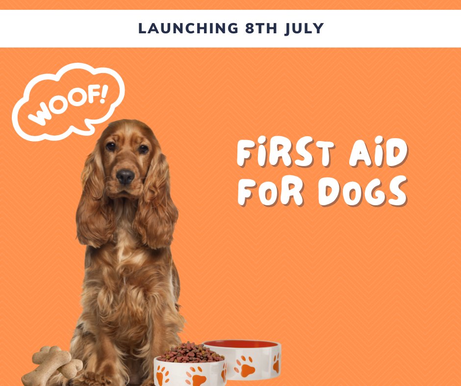 Onelife Training tweet media