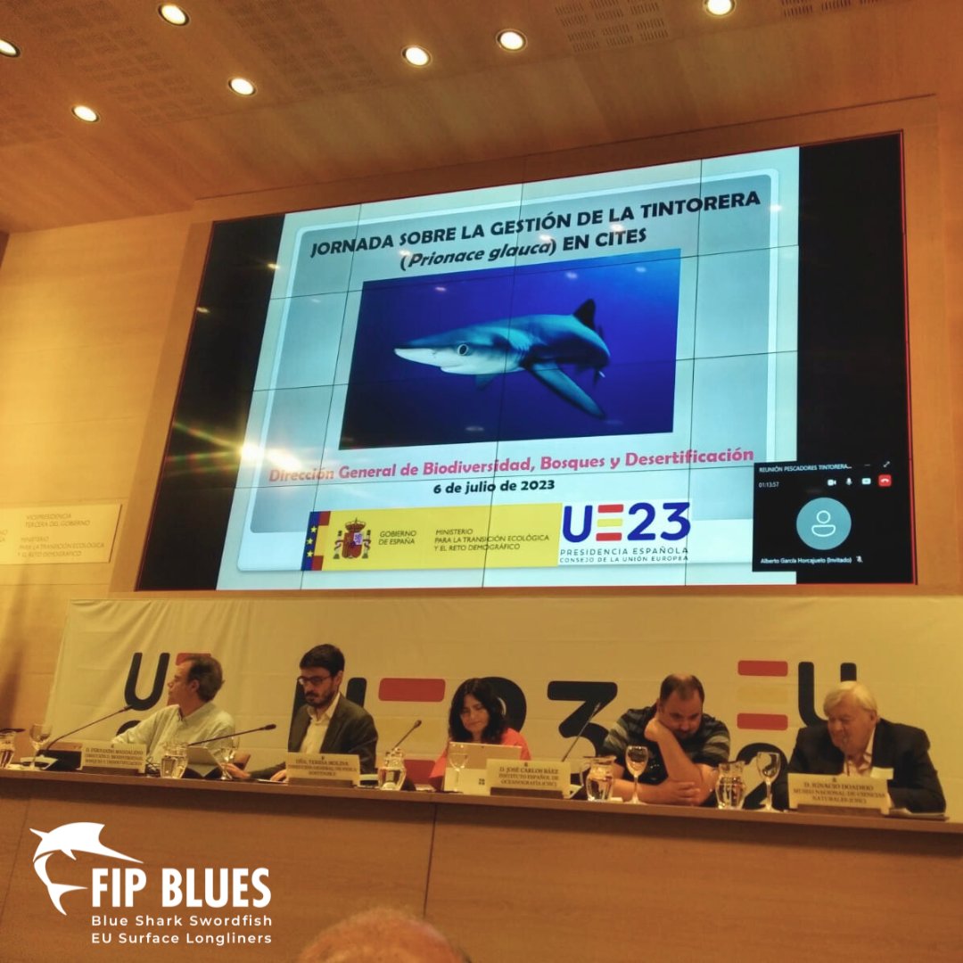 BluesFip's tweet photo. En el día de hoy los representantes del proyecto #FIPBlues participan en la jornada sobre la gestión de la tintorera (Prionace glauca) en CITES, organizada por el @mitecogob.
#sostenibilidad #pesca #palangre #tintorera #pezespada https://t.co/gemRXnqArq