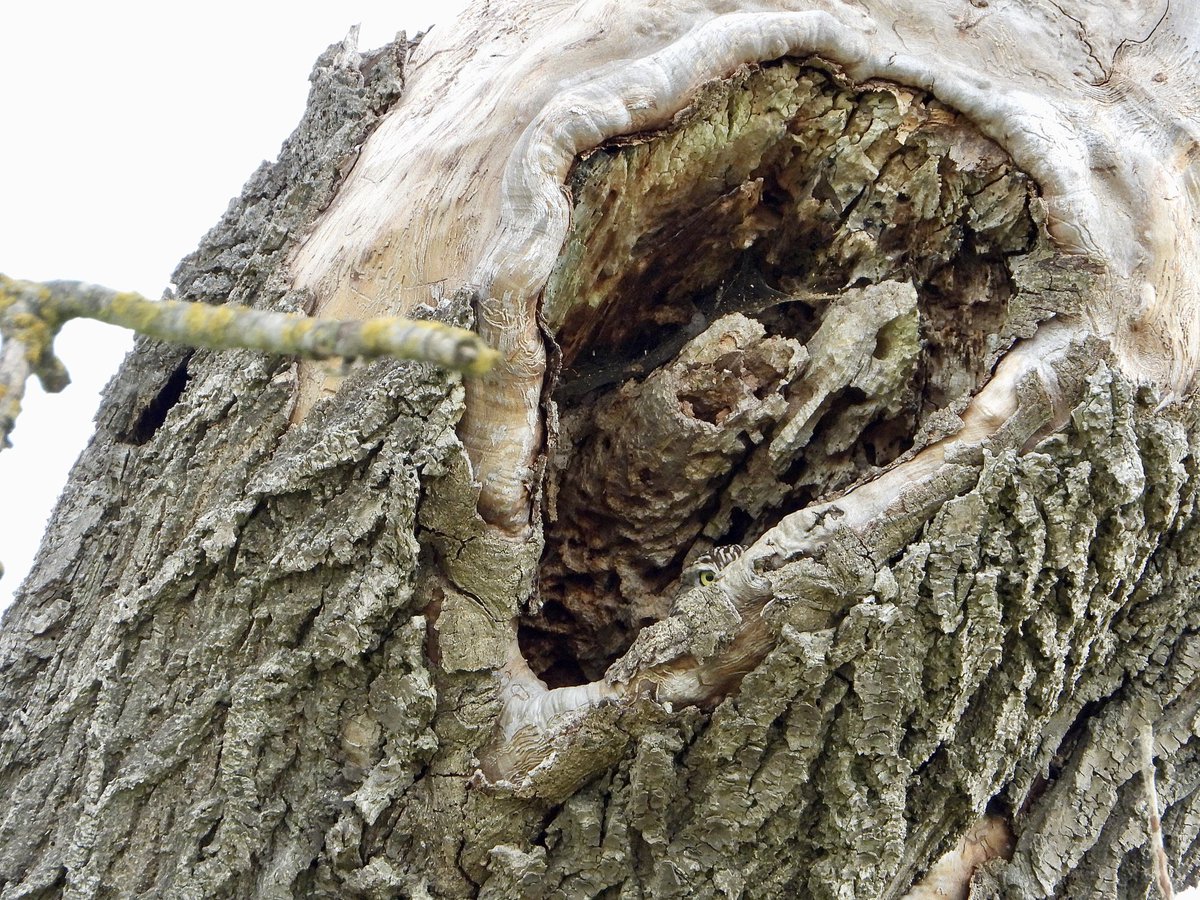 John Lynch tweet media