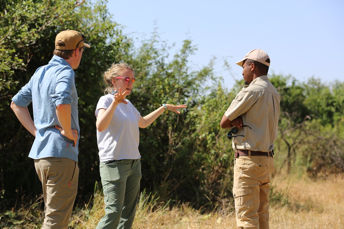 WildCoLab Leiden tweet media