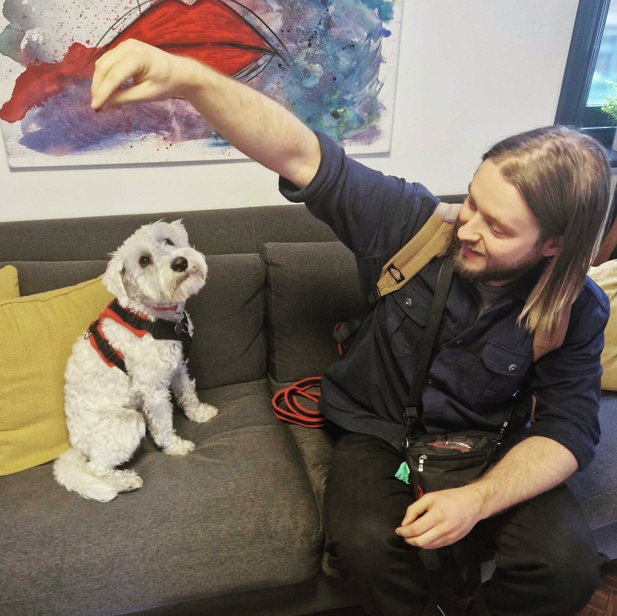 TheForeverAudio's tweet photo. Welcome to our new Trainee Engineer, Woody, pictured here with supervisor Al! 🐶 🎧
#dog #dogsofinstagram #studiodogs #foreveraudio #audio #advertising #marketing #audioproduction #audiopostproduction #audiopost #studios #audioengineering #audioadvertising https://t.co/315SyjJMdr