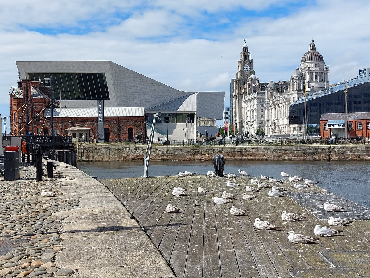 KiuSum's tweet photo. Day 4️⃣.
Final day at #NSSummer23 @NutritionSoc.
And the sun is out. Good weather must mean a good day!?
📸: Liverpool birds sunbathing. Can you tell who the squadron leaders are? 👇🏻 https://t.co/nVKbZ11BKF