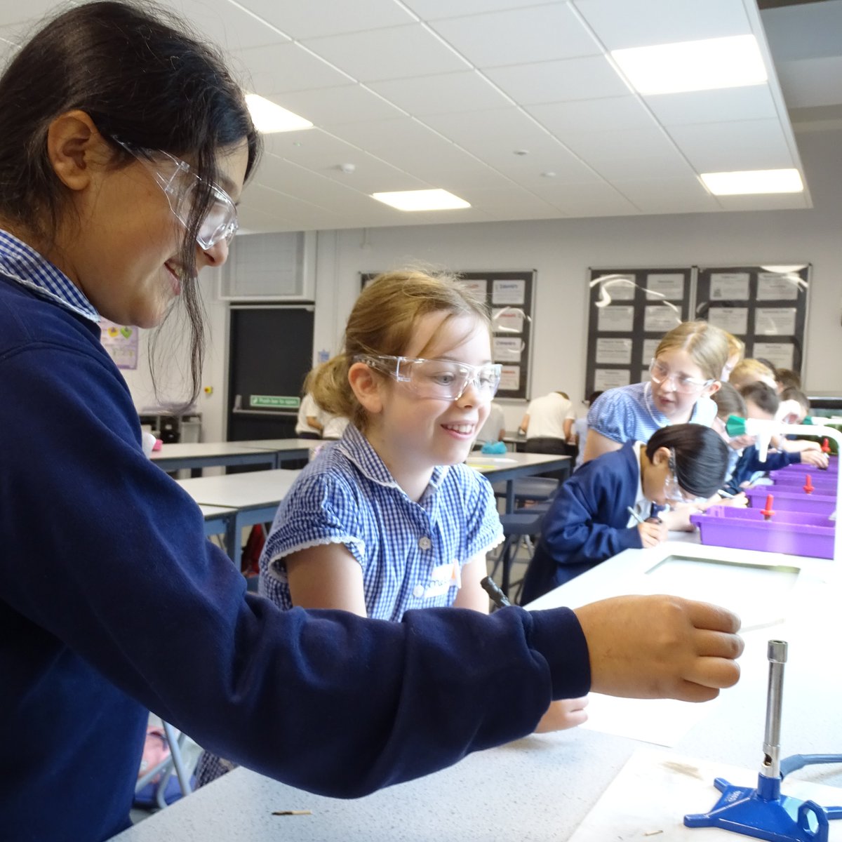 stgregoryscs tweet media