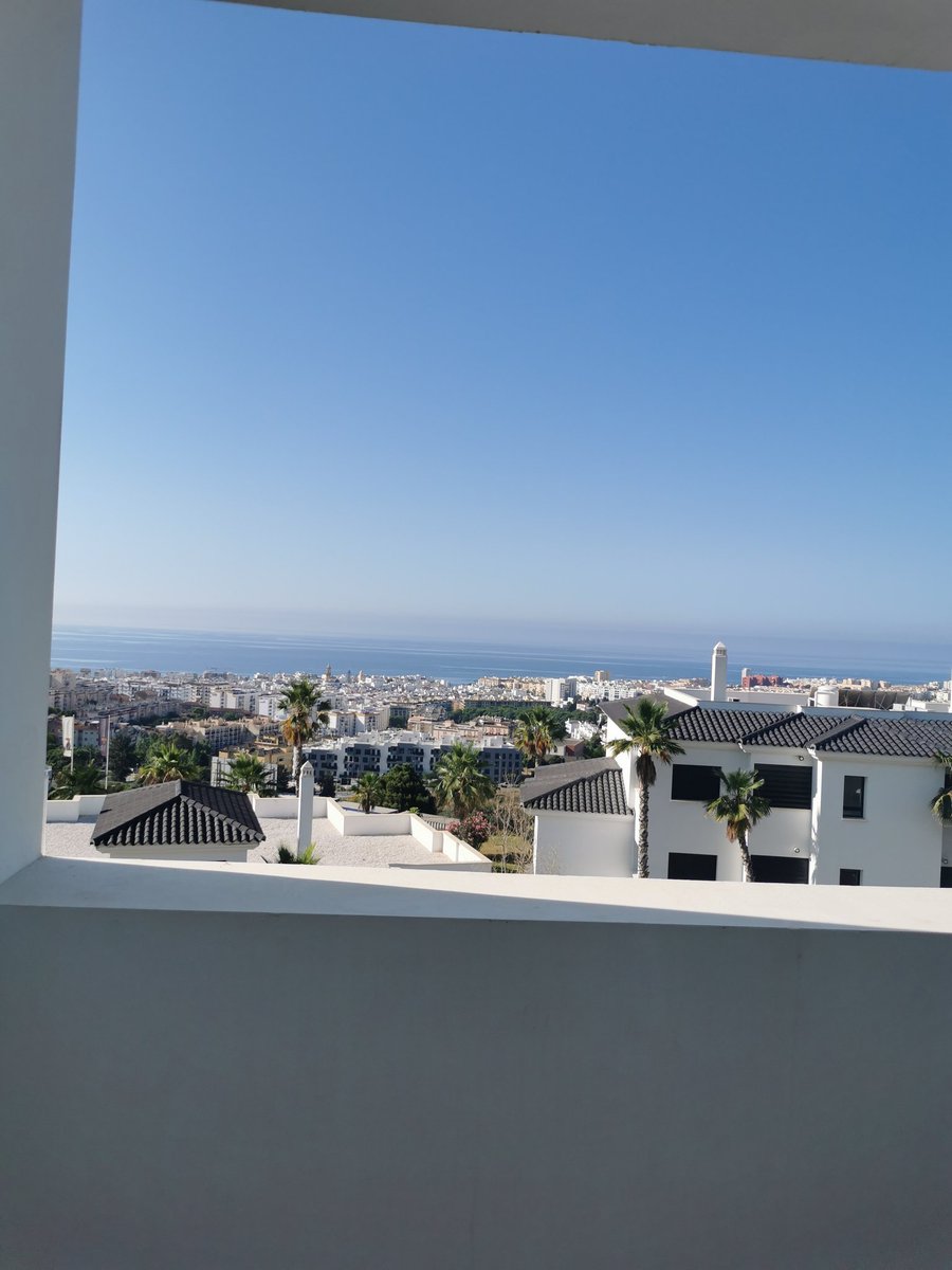 Sarah-Jane Hanna tweet media