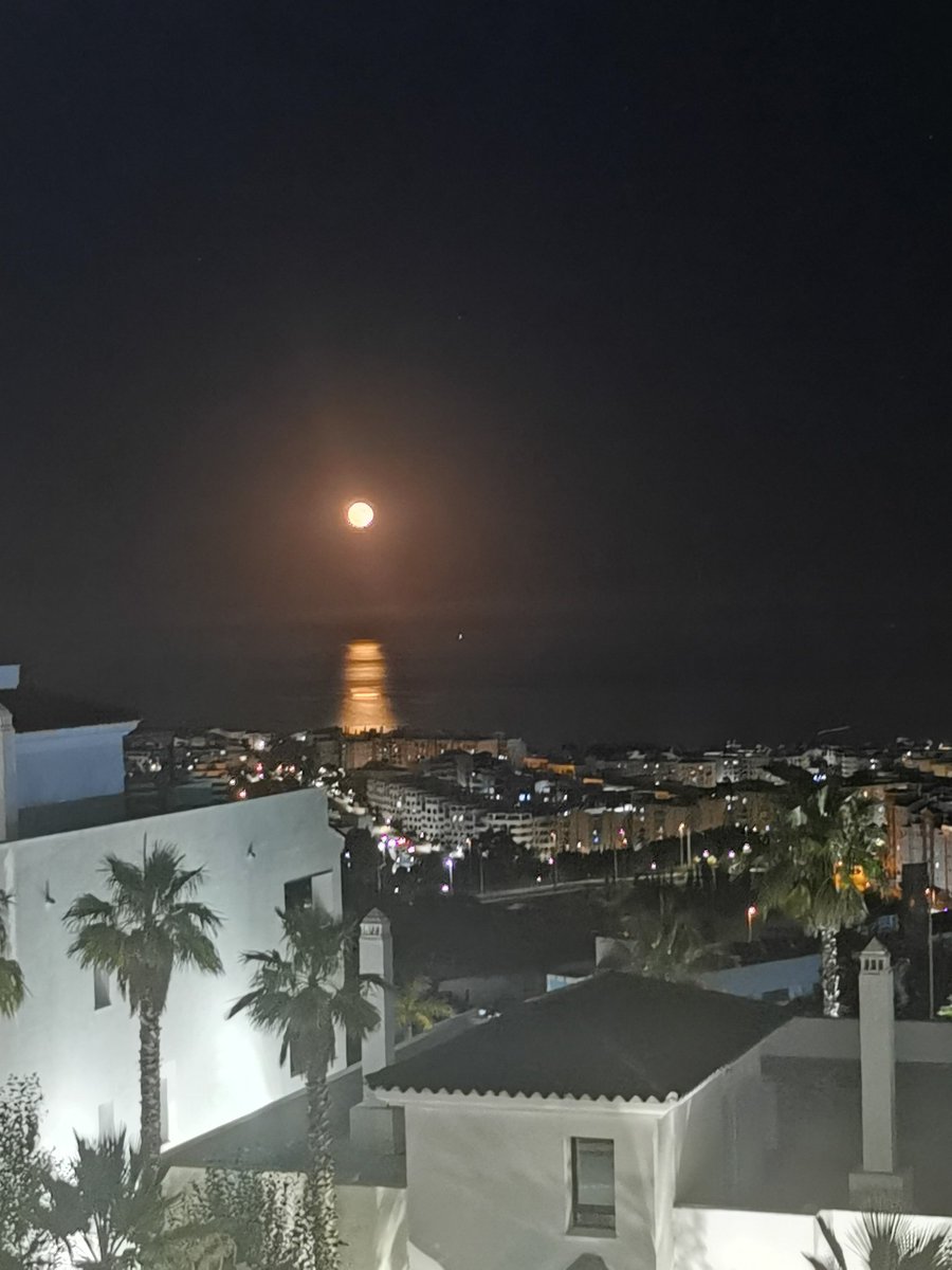 Sarah-Jane Hanna tweet media