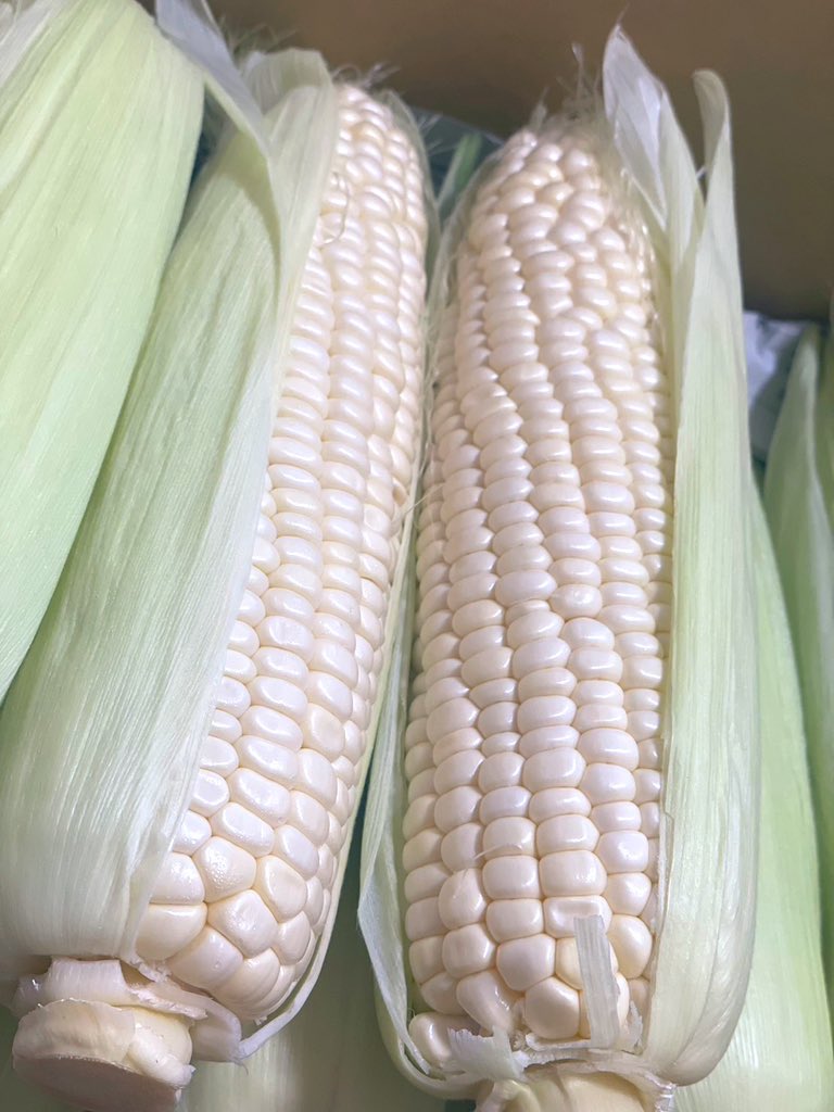 発送で買ってくれた東京に住む友達も
「今までで食べたトウモロコシで1番美味しい」
って大絶賛してくれた🥺❤️

嬉しいっ😍 https://t.co/wIFClRsxkz