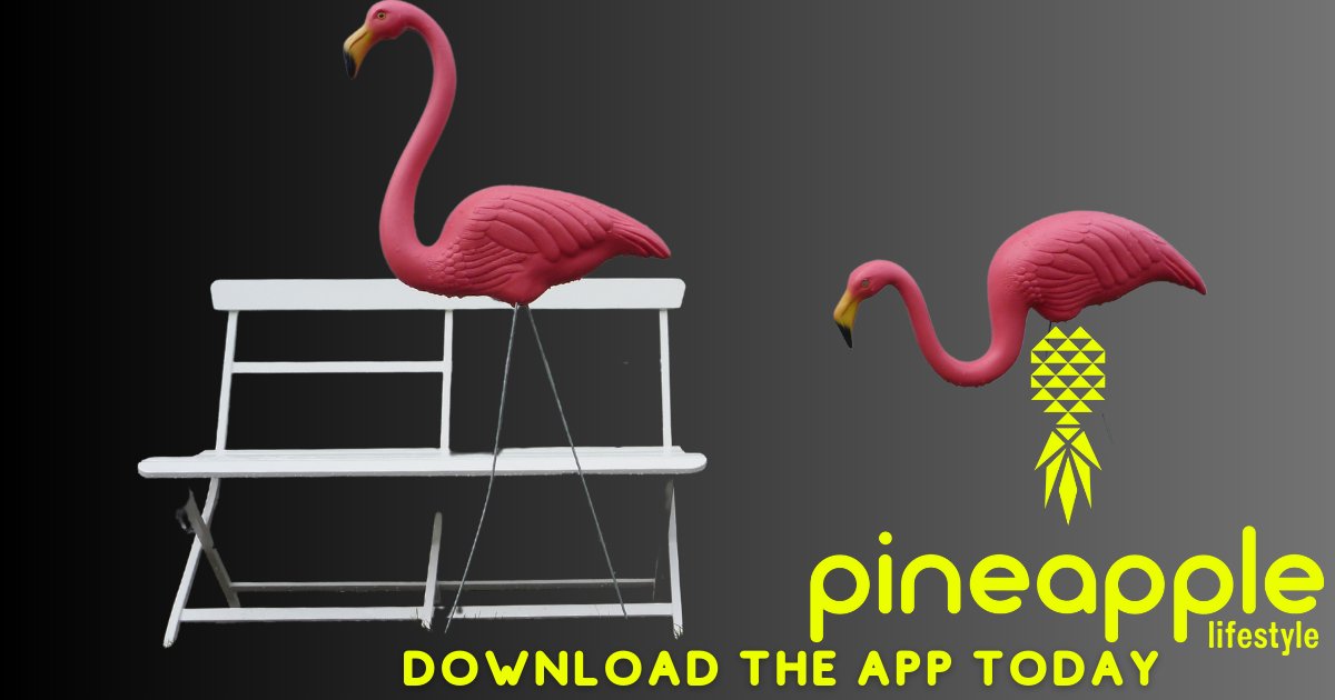 _PineappleApp's tweet photo. Signs of a swinger near you? We all know the upside-down Pineapple🍍🍍🍍 Tell us what you've seen?
#swingers #swingwithpineapple
#swingersuk #ukswingers #global #globalswingers #usaswingers #swingersusa #openrelationships https://t.co/2iHsNFRIIg
