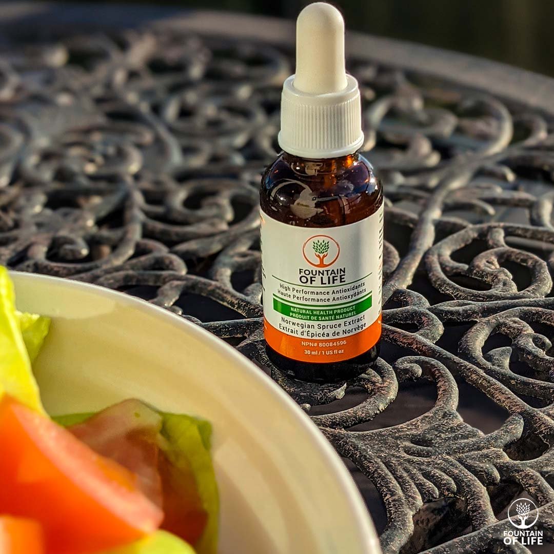 Greenvalleyman2's tweet photo. Increase your health 🙌 
The Fountain of Life provides significant nutritional value not found in the processed foods we eat today, with high-antioxidant properties, the Foundation of Life drops will improve your overall health and well-being  https://t.co/BmzQicbMs6 https://t.co/PqPim5pR9c