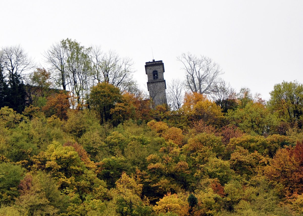 capotauro's tweet photo. La torre sul crinale - 15 luglio, ore 16,30: visita guidata al borgo medievale di Monteacuto delle Alpi riservata ai soci del Gruppo Studi Capotauro e dell’associazione Ottonello Ottonelli di Fanano. https://t.co/7W3bPQrh3L https://t.co/k9aVxRiIjD